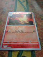 POKEMON  Rapidash   H  SCR EN  020/142  HP120  2024