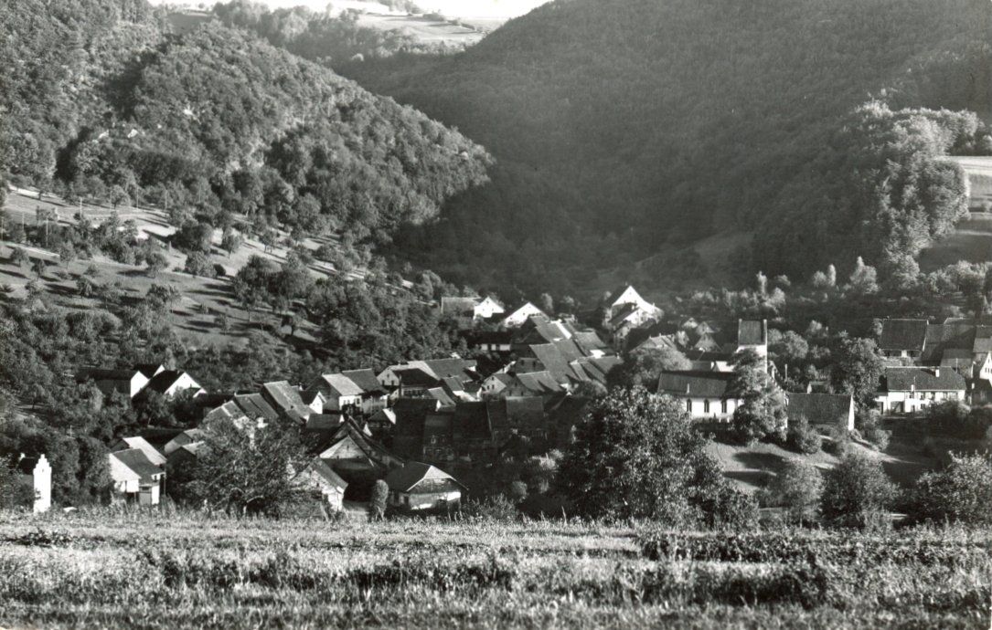 Cartoline postali: Oltingen   BL        um 1954 – Usato da Brig venduto da Valcards54