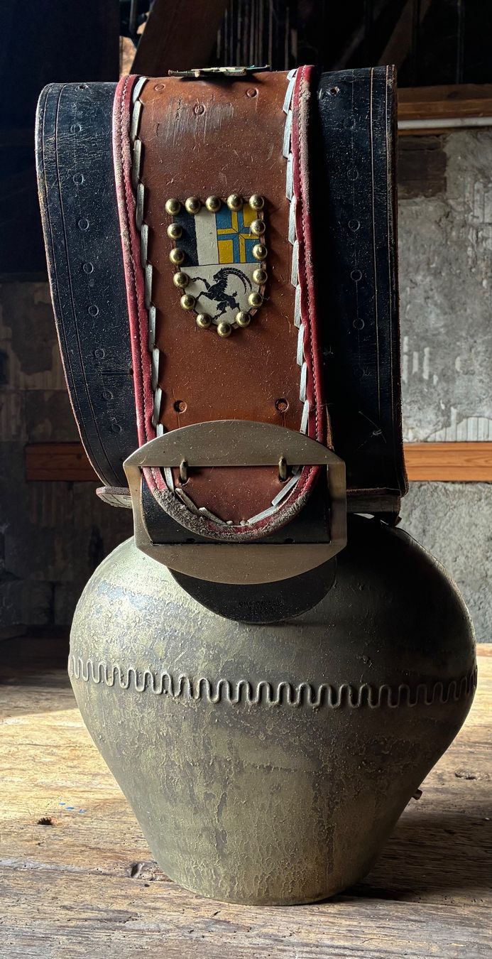 Campanacci mucche: Treichel – Usato da Flums venduto da ret_b2tf