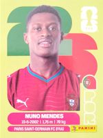 Panini FIFA World Cup POR 7
