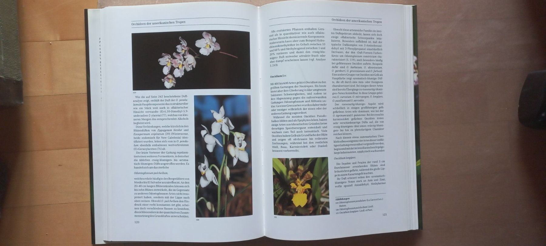 Libri: Vom Duft der Orchideen (Roman Kaiser) – Usato da Montricher venduto da Babou72 2