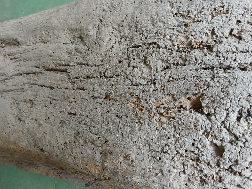 Articles en bois: Altholzbalken 125x22x12cm – D'occasion à Zuchwil par pedu79 3