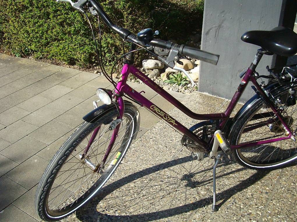 Biciclette: Damen Velo – Usato da Belp venduto da fam_schumacher 4