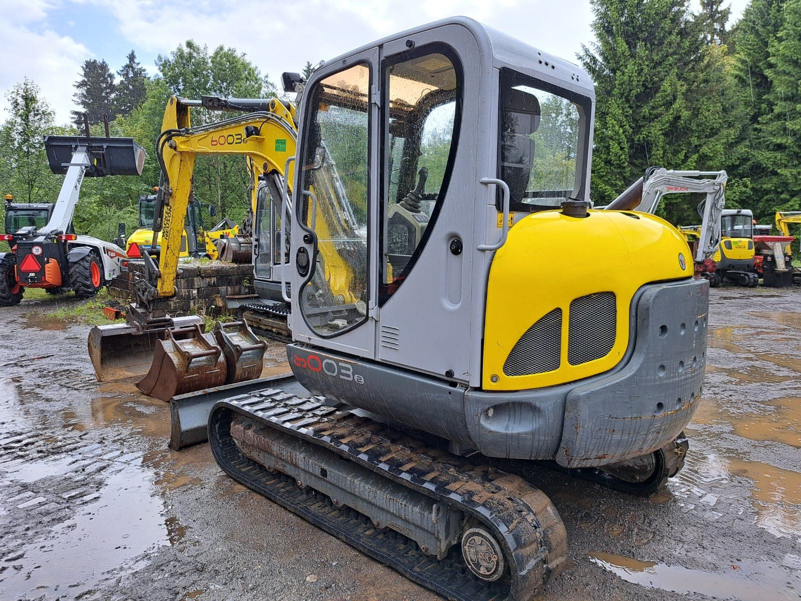 Wacker Neuson Escavatori: Raupenbagger Wacker Neuson 6003 – Usato da Rain venduto da Bob1000 1