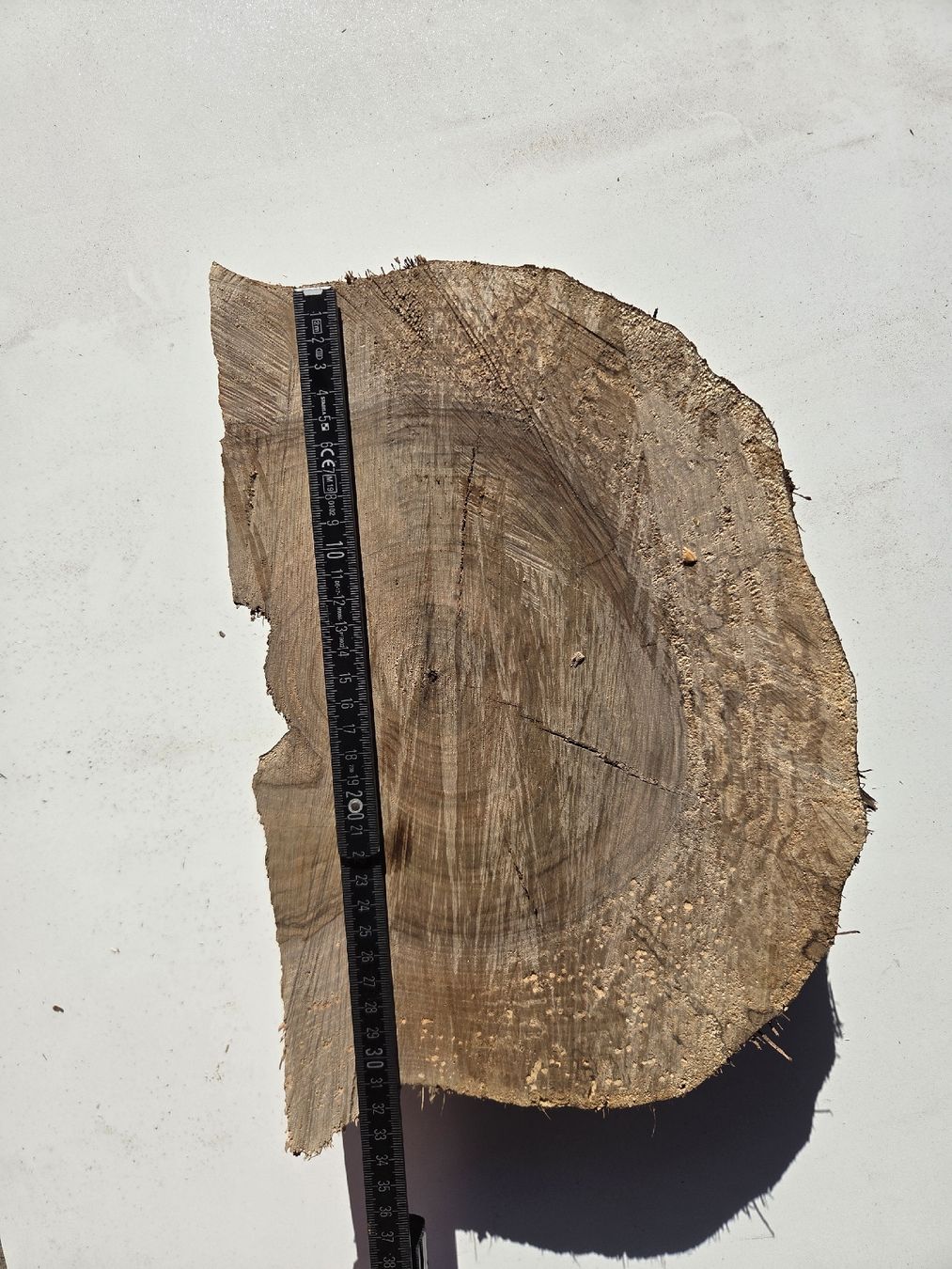 Articoli in legno: Nussbaum Baumscheibe / Holzscheibe rustikal – ca. 28 cm – Nuovo e nell'imballaggio originale da Muttenz venduto da Candro99 2