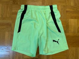 Puma Fussball Shorts Sporthose, Gr. 164, Top Zustand, Sommer