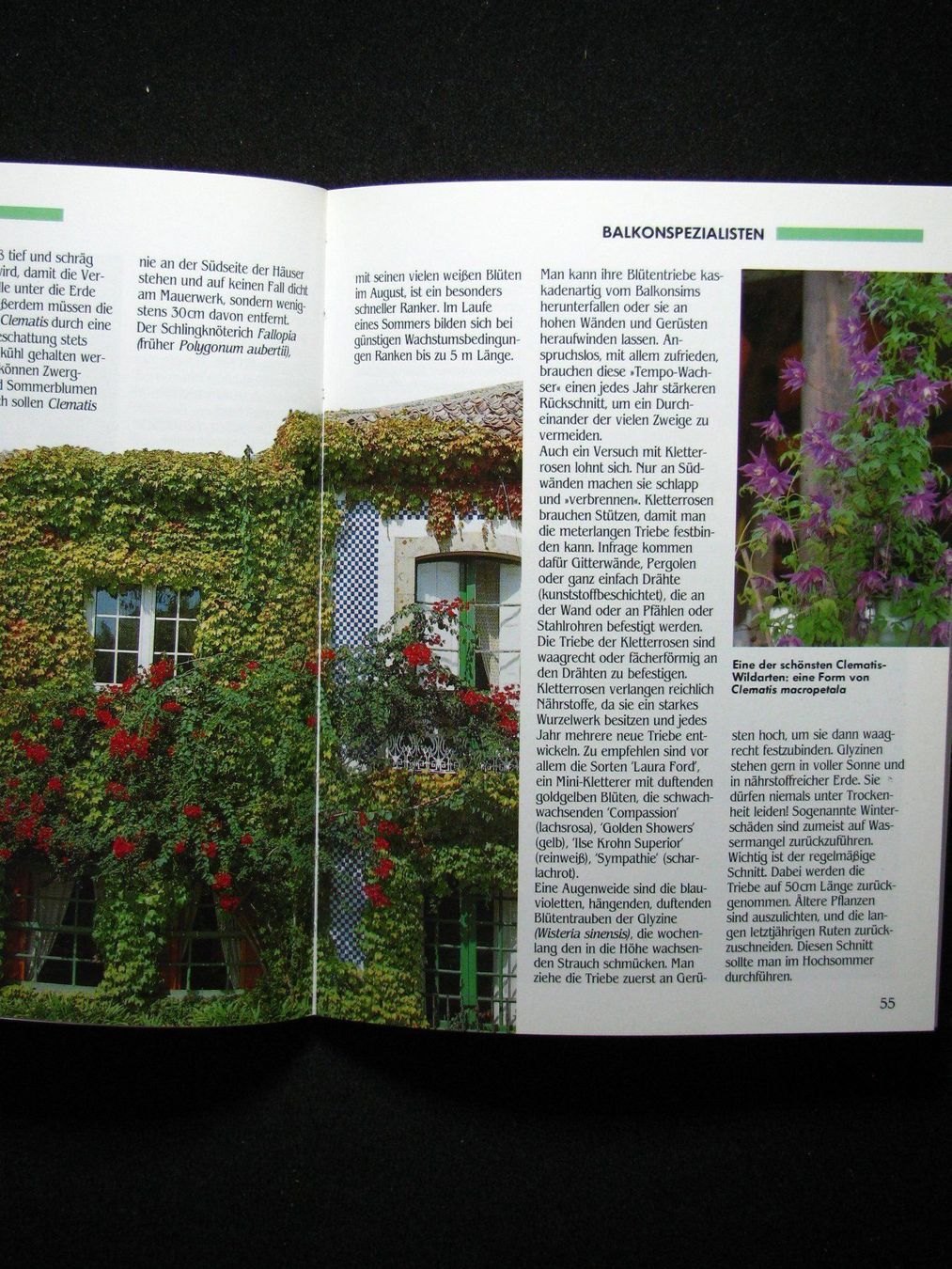 Bücher: Karlheinz Jacobi Balkon und Terrasse – Gebraucht aus Reitnau von Zaomir 5