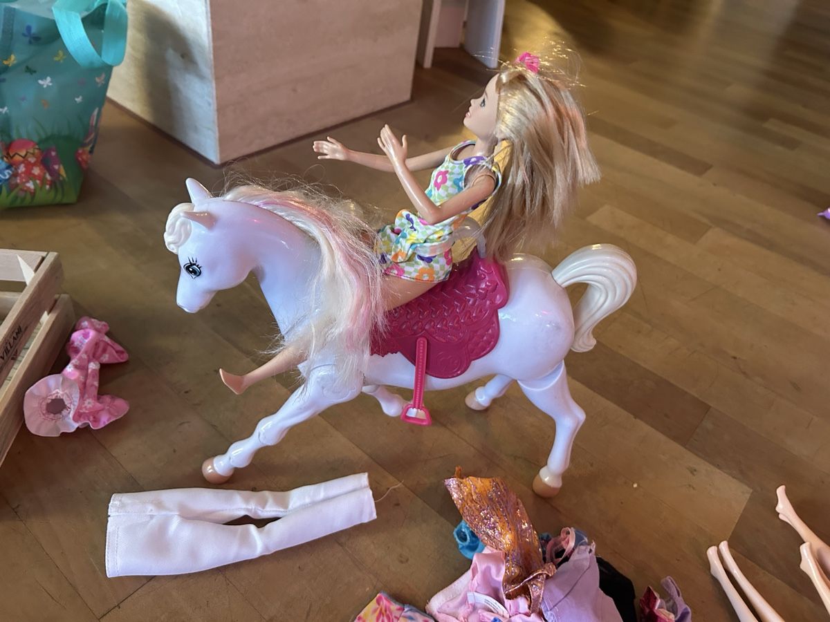 Puppen: Riesiges Barbieset  – Gebraucht aus Wagen von Ramona01 1