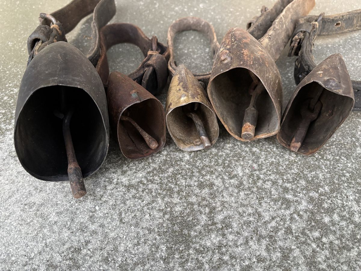 Campanacci mucche: 5 Alte Schaftreicheln. – Usato da Schangnau venduto da Roseggli82 6