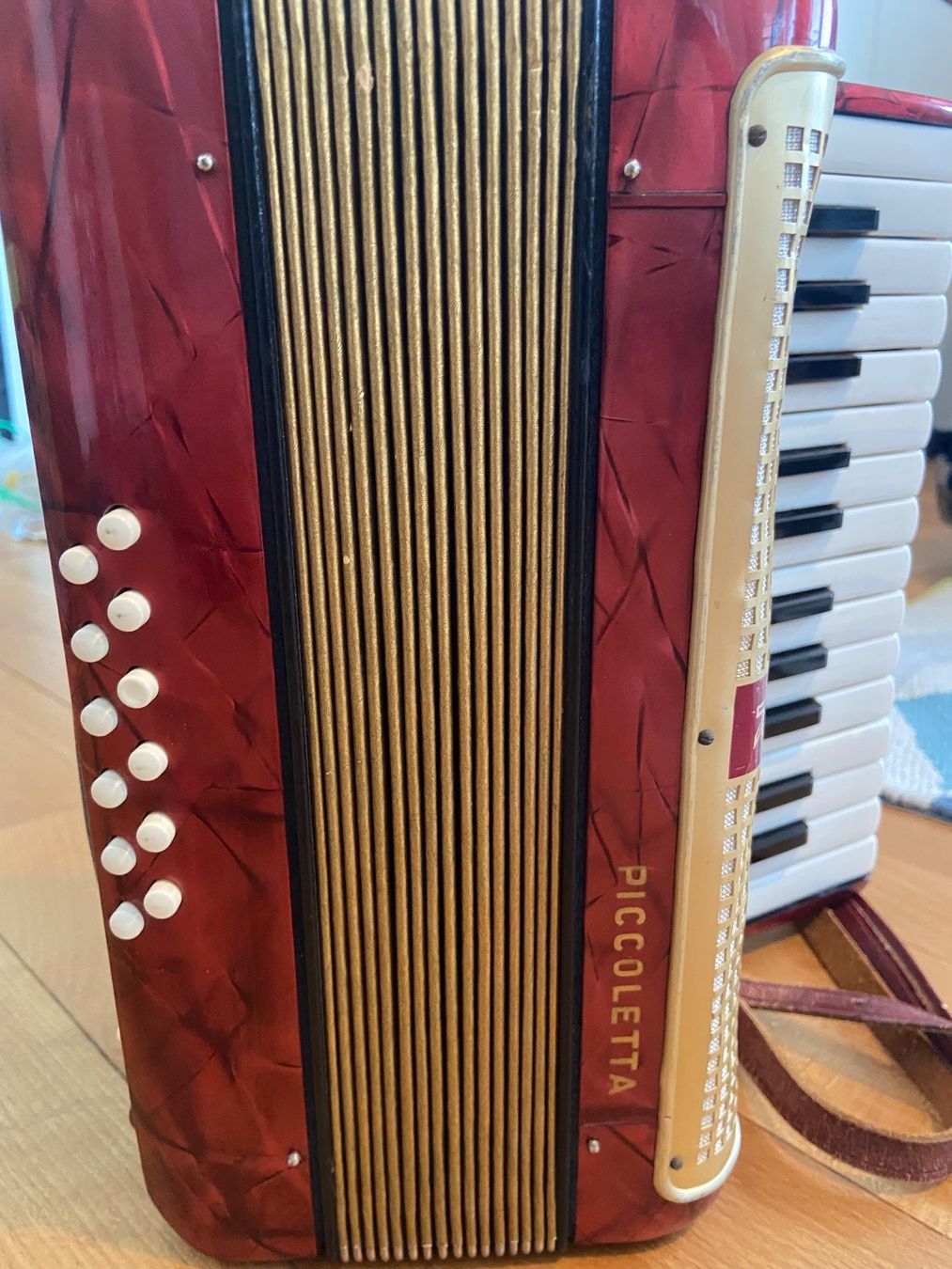 Strumenti musicali: Hohner Handorgel Piccoletta – Usato da Spiegel b. Bern venduto da Orangenlimonade 4