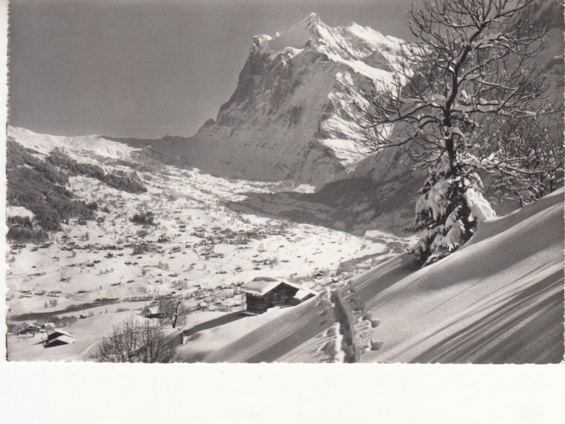 Cartoline postali: Grindelwald 1961 – Usato da Bürglen TG venduto da StampGraf
