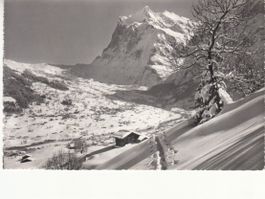 Grindelwald 1961