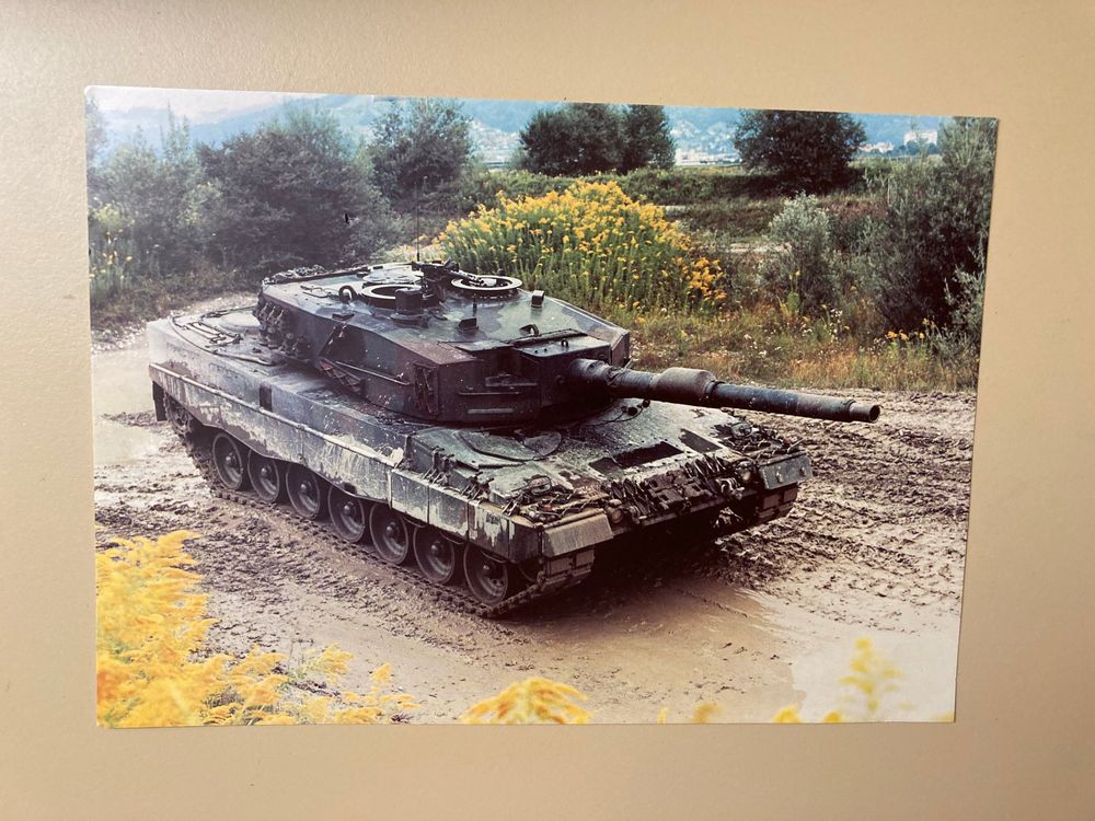 Wunderschone Panzer Kaufen Preis Bild