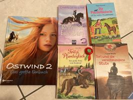5 Mädchenbücher Pferdegeschichten