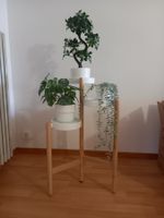 Gestell für drei Pflanzen
