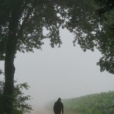 Profile image of LennartHag
