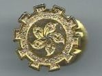 Hong Kong Pin