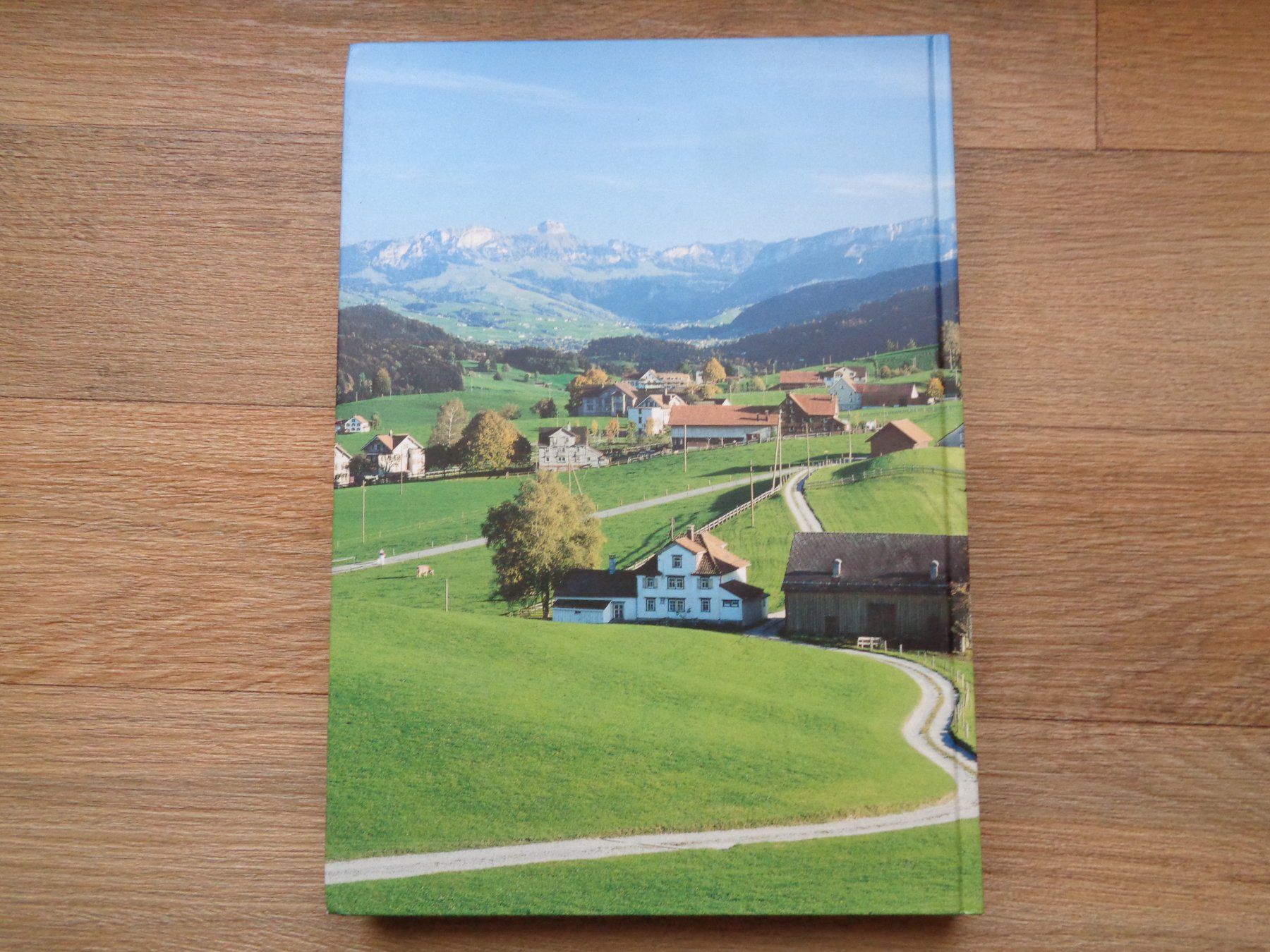 Libri: APPENZELLER BUCH STEIN AR 1949 -1999 – Usato da Henggart venduto da linda666 1