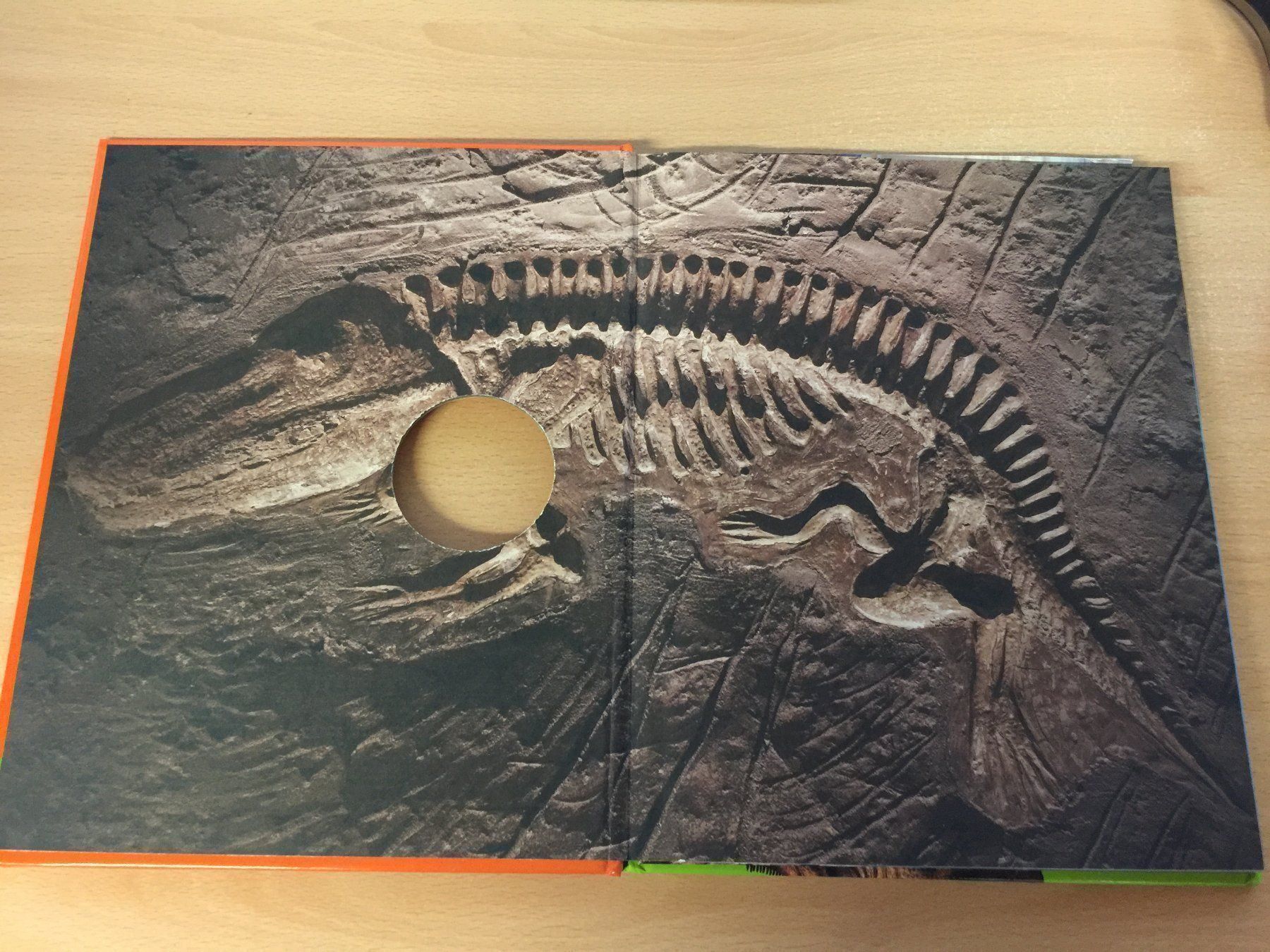 Libri: Warum hatten Dinosaurier Schuppen? – Usato da Glattfelden venduto da cybermaxx 2