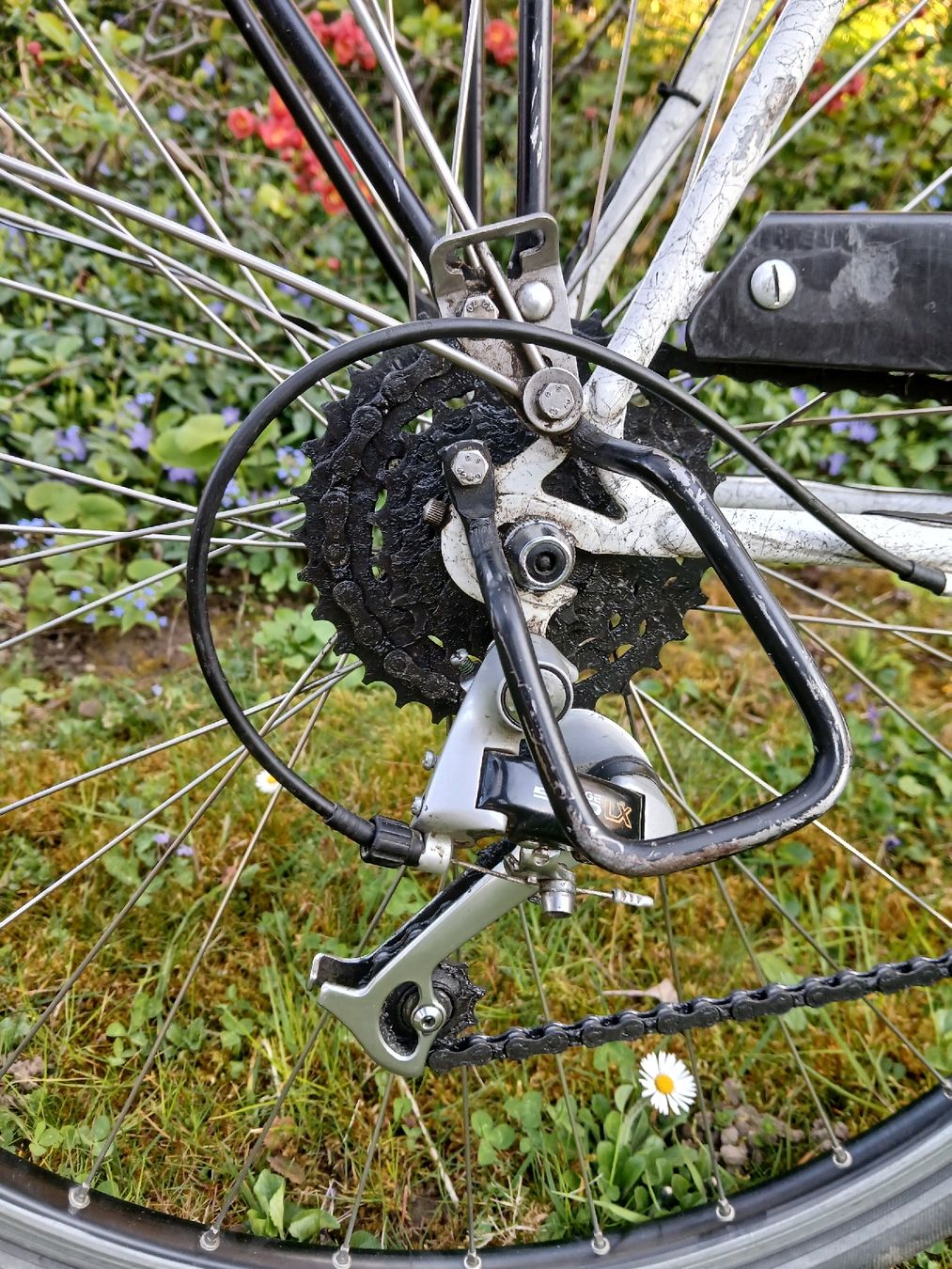 Mondia Biciclette: Mondia City Cross – Usato da Fräschels venduto da sascha.wuethrich 6