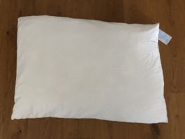 Flauschiges Microfaserkissen wie neu