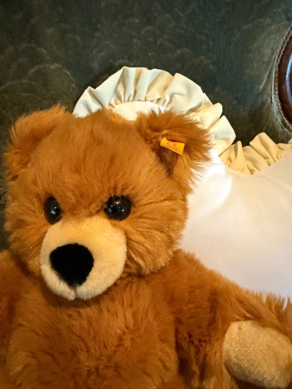 Steiff Giocattoli: Herziger Steiff Teddybär 🧸 – Usato da Schaan venduto da chinchillali 1