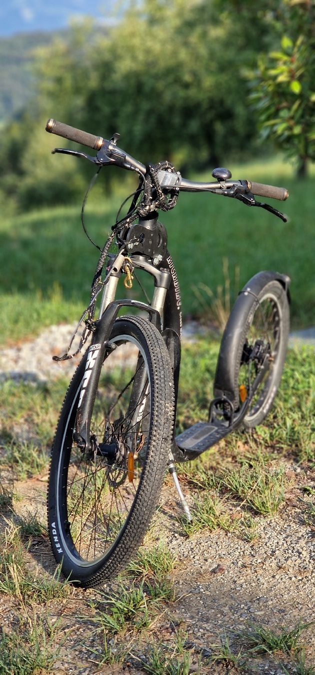 Kickboard: Kickbike Cross Max Roller gebraucht – D'occasion à Eichberg par flocoshop
