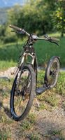 Dogscooter Kickbike Cross, Scheibenbremsen