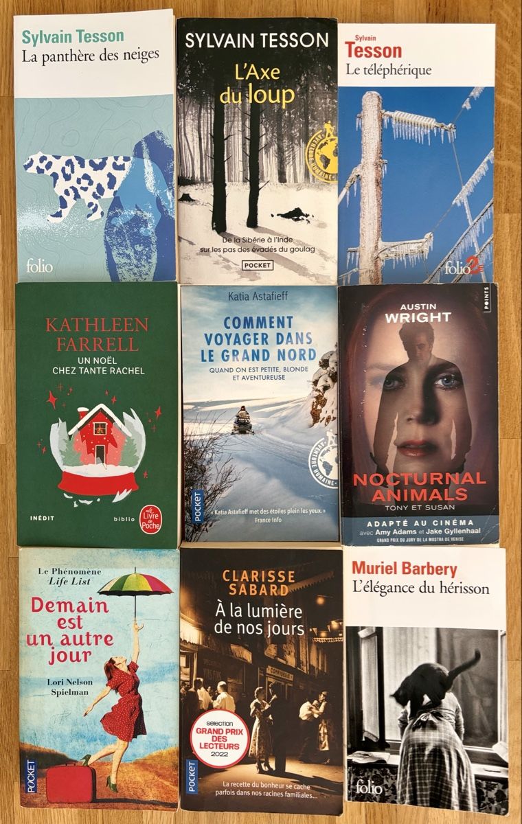 Libri: 36 romans à dévorer (format poche) – Usato da Fribourg venduto da Robinson77 3