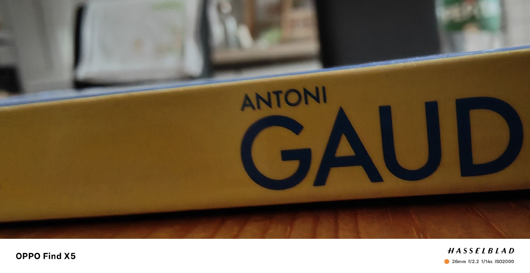 Libri: Gaudi – Usato da Volken venduto da katz5 1