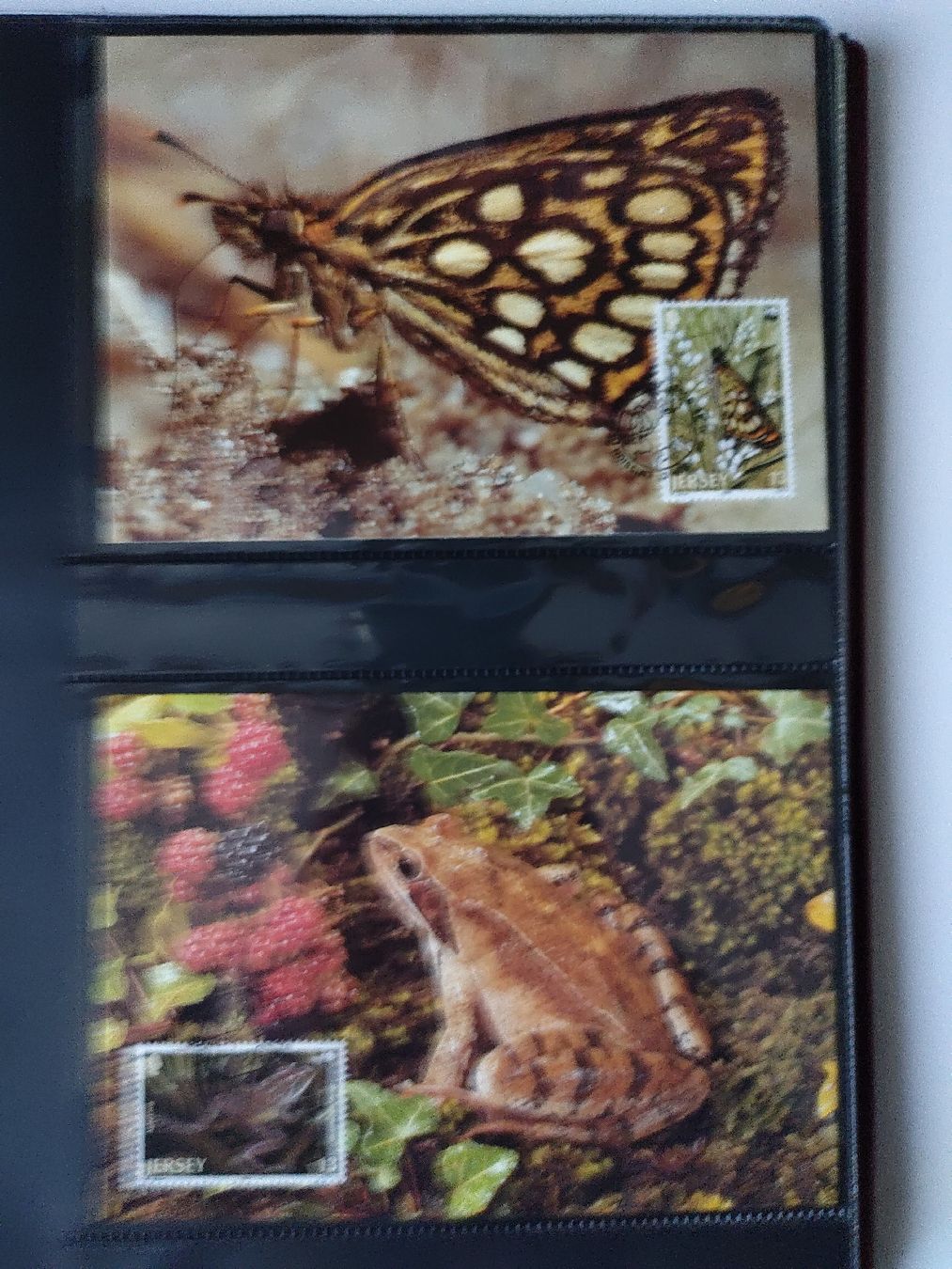Tutti i francobolli: WWF Sammlung gefährdete Tierarten Jersey Briefmarken – Nuovo (secondo la descrizione) da Greifensee venduto da Retepw 6