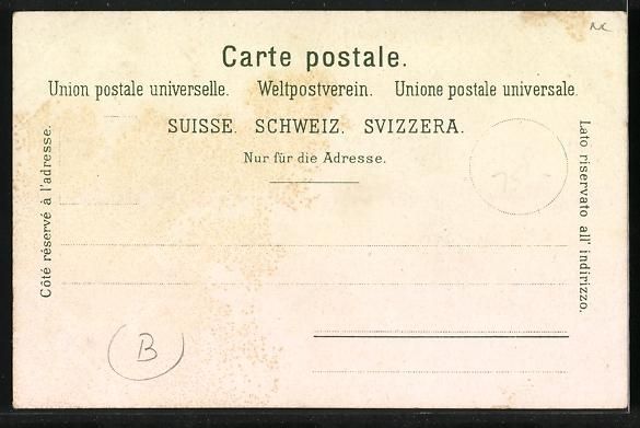 Cartoline postali: Litho Fluelen, Urnersee mit Bristenstock – Usato da Berlin venduto da bartko-reher 1
