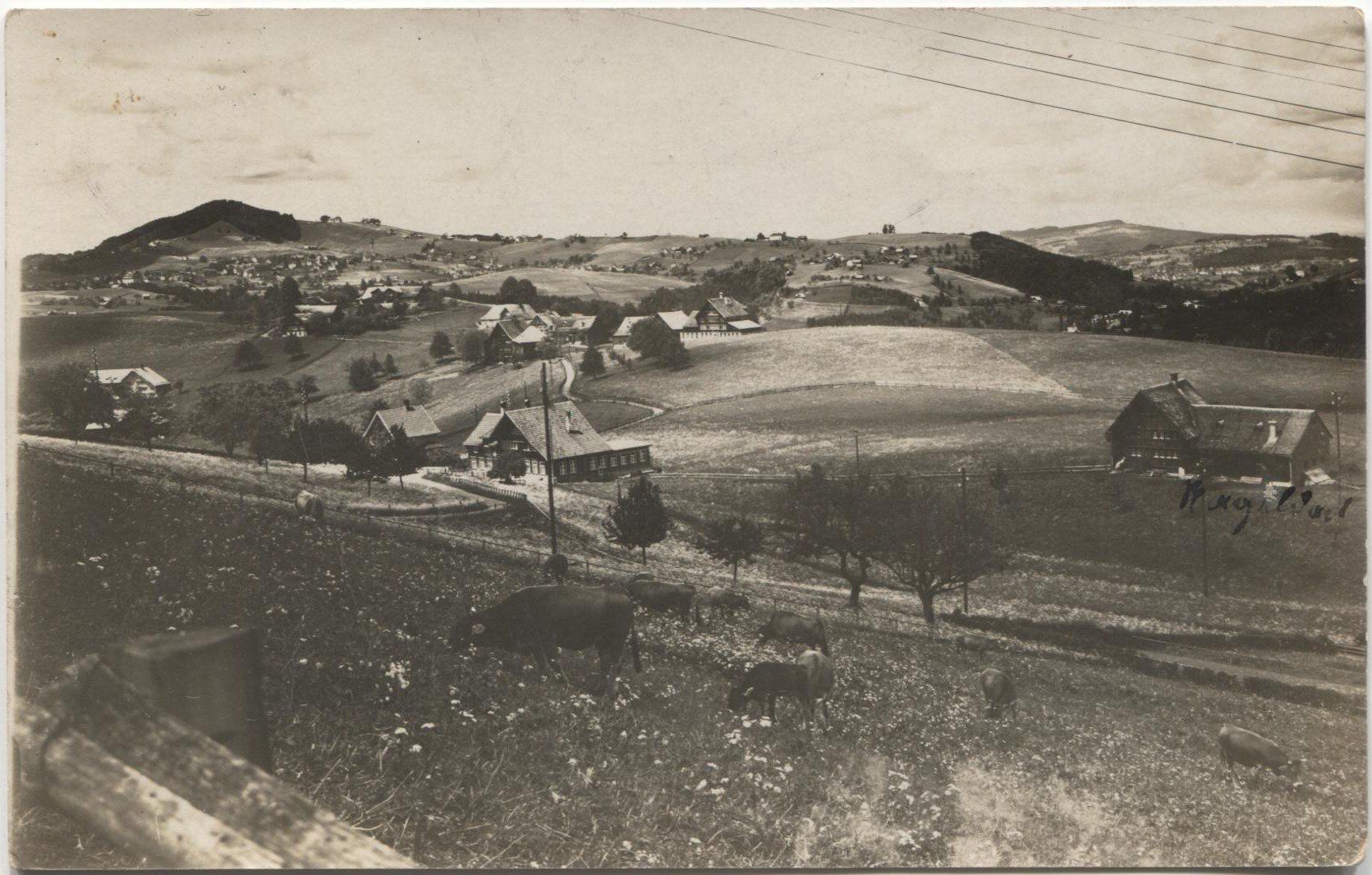Cartoline postali: WALD AR 1931 – Usato da Wil SG venduto da Clanx