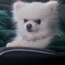Profile image of cam_snz6