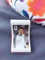 Autonee Robinson USA FIFA WM Sticker panini Coca-Cola
