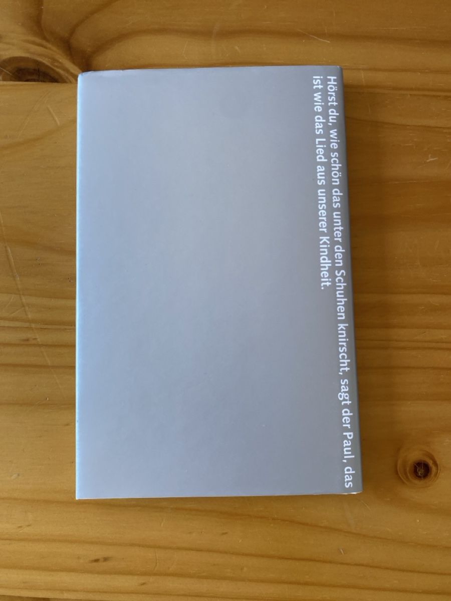 Libri: Der letzte Schnee, Arno Camenisch – Usato da Brenzikofen venduto da mar_m9vl 1