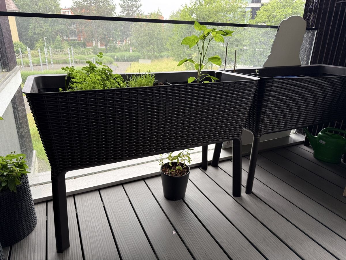 Keter Vasi per fiori: Hochbeet Rattan Keter Easy Grow braun – Usato da Zug venduto da subaru1942 1