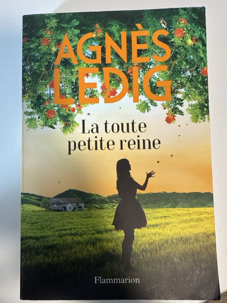 Bücher: Aurélie Valognes - La toute petite reine – Gebraucht aus Horw von Edith1981