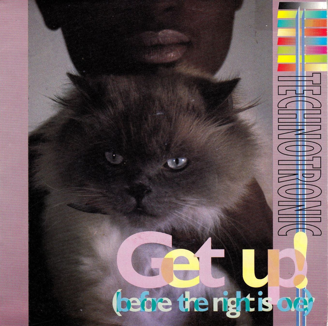 Dischi in vinile: Technotronic Vinyl Single von 1990 – Usato da Volketswil venduto da Abcrecords