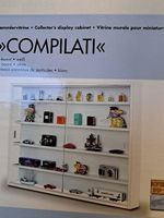 Hänge Vitrine für Sammelgut