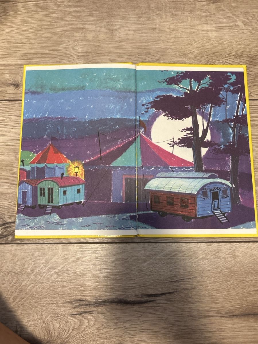 Libri: Donald Ducks Zirkus – Usato da Maienfeld venduto da Jasmin_laeser 6