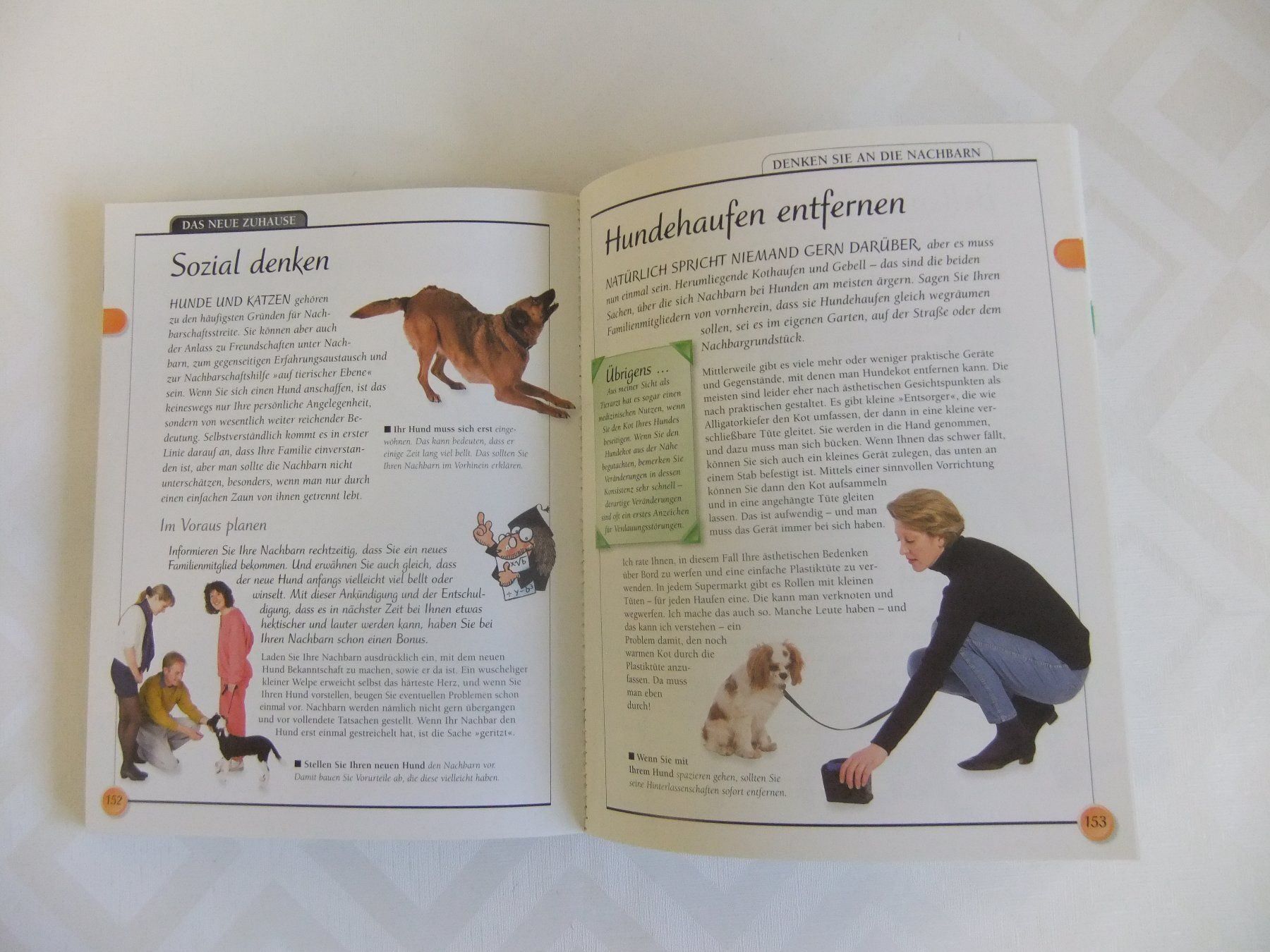Bücher: Hunde Das Einsteiger-Handbuch KISS Serie – Gebraucht aus Hemishofen von Lany 5