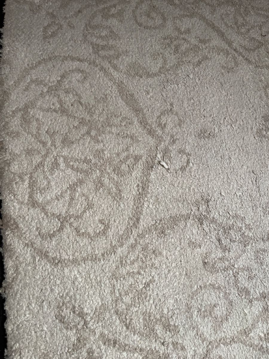 Tapis: Turkish woollen carpet cream with damask pattern – D'occasion à Rüschlikon par ant_5v7g 1