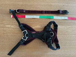 Hundegeschirr und Halsband Grossenbacher Grösse M