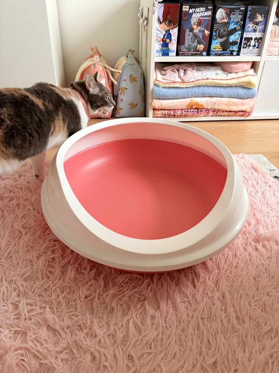 WC: Katzen WC – Neuf (Voir description) à Tagelswangen par fireiceprincess 1