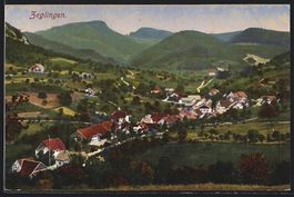 Zeglingen, Ortsansicht aus der Vogelscha