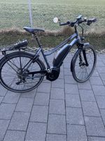 Wheeler Elektrovelo /E Bike 45km/h