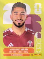 Panini FIFA World Cup QAT 14