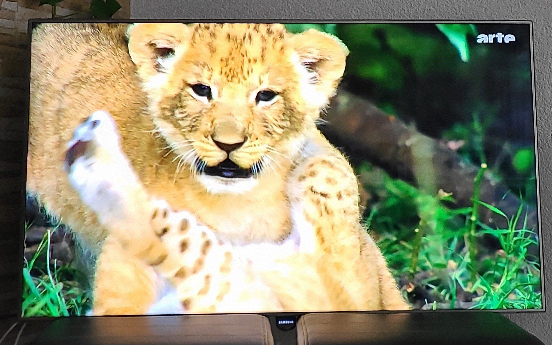 Samsung Fernseher: Samsung TV UE 46F – Gebraucht aus Egg b. Zürich von alpenchueli 6