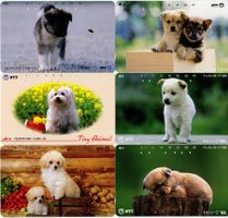 30 verschiedene HUNDE Motiv Telefonkarten aus Japan